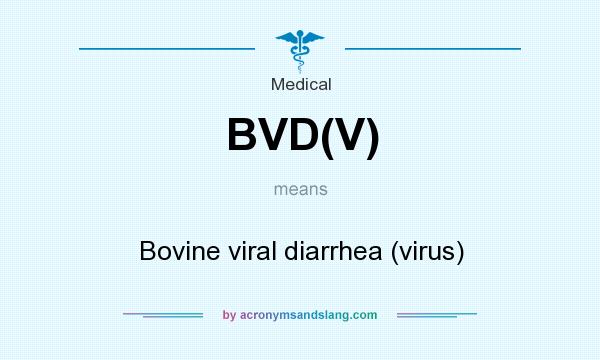 What does BVD(V) mean? It stands for Bovine viral diarrhea (virus)