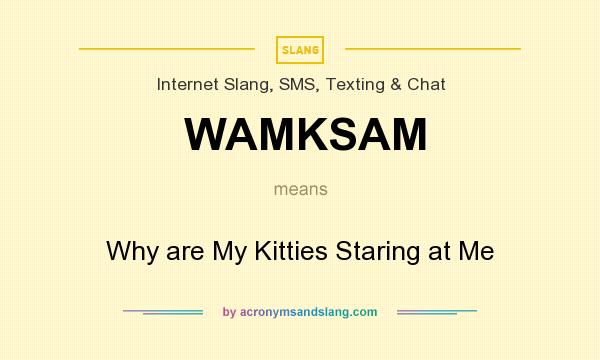 What does WAMKSAM mean? It stands for Why are My Kitties Staring at Me