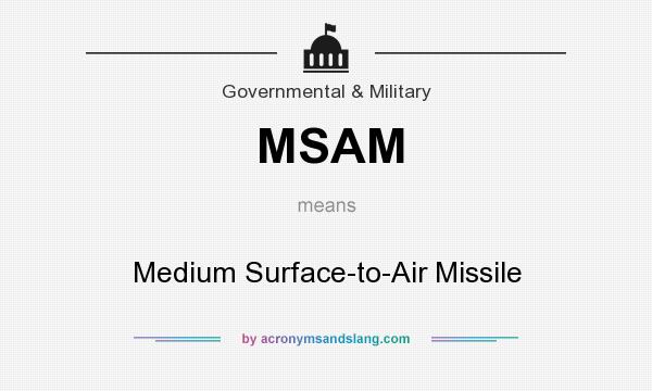What does MSAM mean? It stands for Medium Surface-to-Air Missile