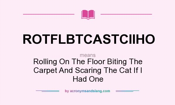 What does ROTFLBTCASTCIIHO mean? It stands for Rolling On The Floor Biting The Carpet And Scaring The Cat If I Had One