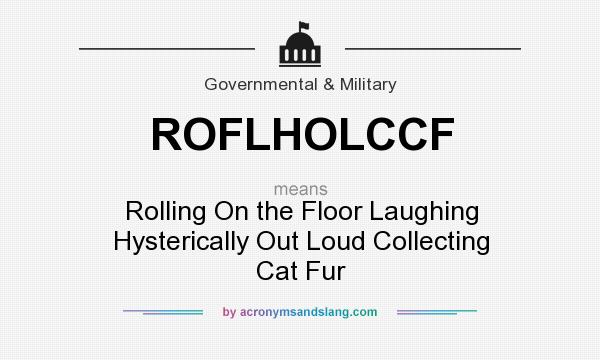 What does ROFLHOLCCF mean? It stands for Rolling On the Floor Laughing Hysterically Out Loud Collecting Cat Fur