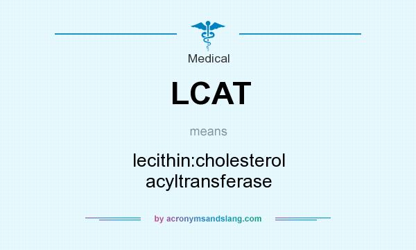 What does LCAT mean? It stands for lecithin:cholesterol acyltransferase