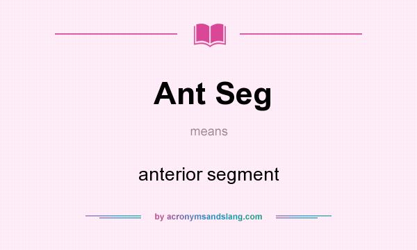 What does Ant Seg mean? It stands for anterior segment