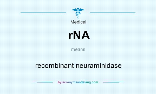 What does rNA mean? It stands for recombinant neuraminidase