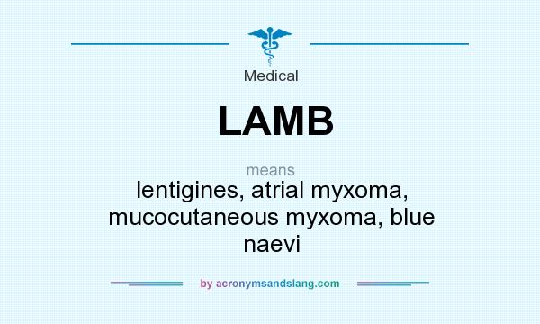 What does LAMB mean? It stands for lentigines, atrial myxoma, mucocutaneous myxoma, blue naevi