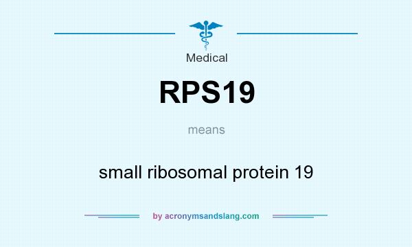 What does RPS19 mean? It stands for small ribosomal protein 19