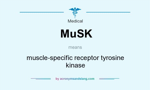 What does MuSK mean? It stands for muscle-specific receptor tyrosine kinase