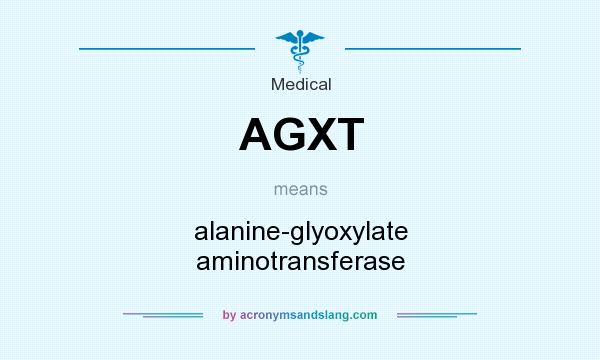 What does AGXT mean? It stands for alanine-glyoxylate aminotransferase