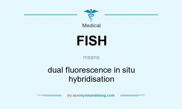 What does FISH mean? It stands for dual fluorescence in situ hybridisation