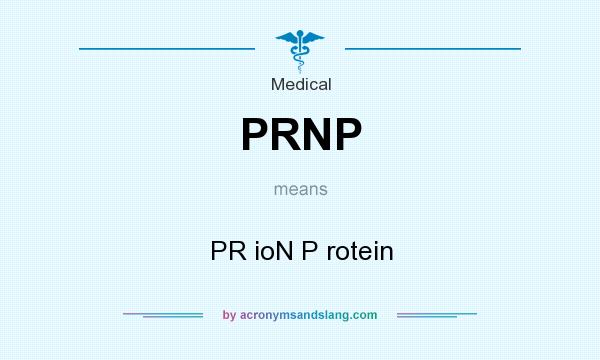 What does PRNP mean? It stands for PR ioN P rotein