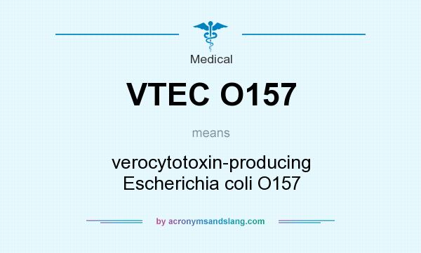 What does VTEC O157 mean? It stands for verocytotoxin-producing Escherichia coli O157