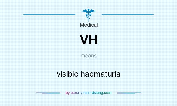 What does VH mean? It stands for visible haematuria