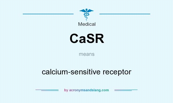 What does CaSR mean? It stands for calcium-sensitive receptor