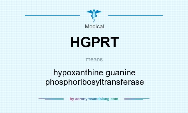What does HGPRT mean? It stands for hypoxanthine guanine phosphoribosyltransferase