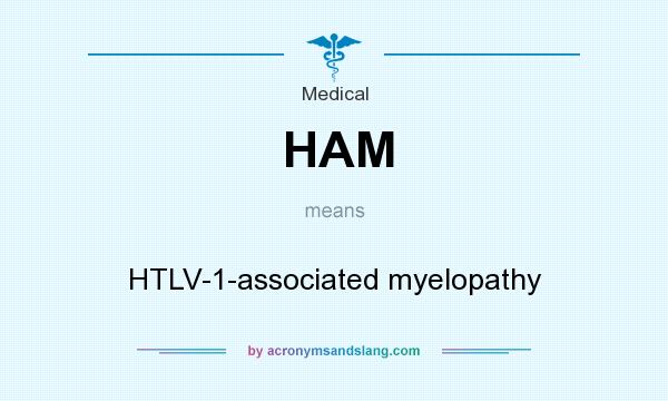 What does HAM mean? It stands for HTLV-1-associated myelopathy