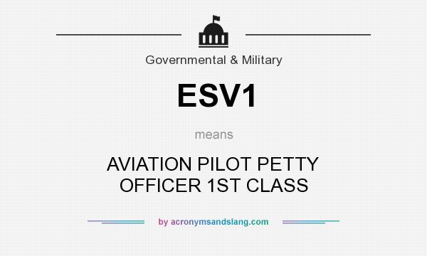 What does ESV1 mean? It stands for AVIATION PILOT PETTY OFFICER 1ST CLASS