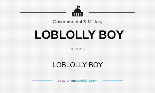 What does LOBLOLLY BOY mean? It stands for LOBLOLLY BOY