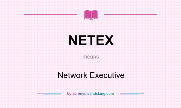 What does NETEX mean? It stands for Network Executive