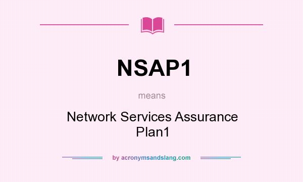 What does NSAP1 mean? It stands for Network Services Assurance Plan1