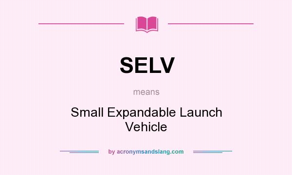 What does SELV mean? It stands for Small Expandable Launch Vehicle