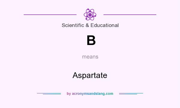What does B mean? It stands for Aspartate