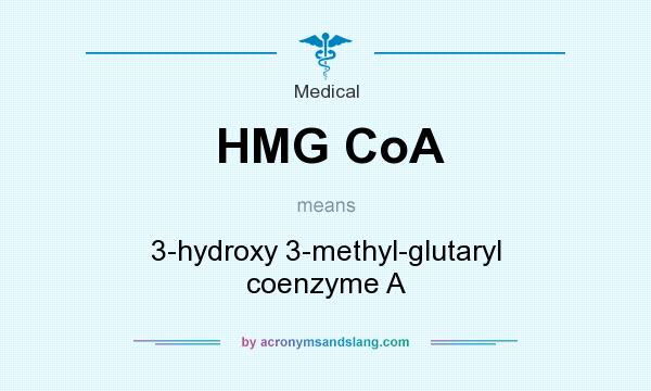 What does HMG CoA mean? It stands for 3-hydroxy 3-methyl-glutaryl coenzyme A