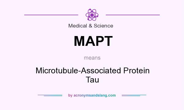 What does MAPT mean? It stands for Microtubule-Associated Protein Tau