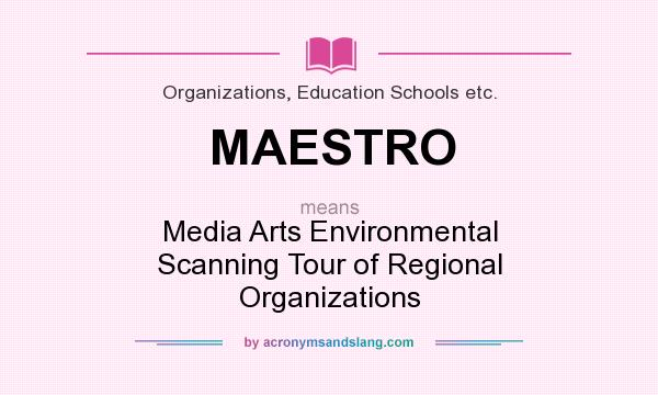 What does MAESTRO mean? It stands for Media Arts Environmental Scanning Tour of Regional Organizations