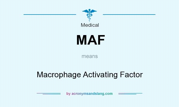 What does MAF mean? It stands for Macrophage Activating Factor