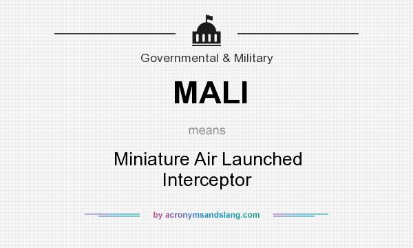 What does MALI mean? It stands for Miniature Air Launched Interceptor