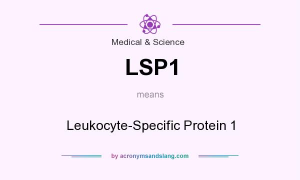 What does LSP1 mean? It stands for Leukocyte-Specific Protein 1
