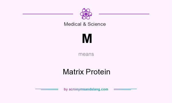 What does M mean? It stands for Matrix Protein