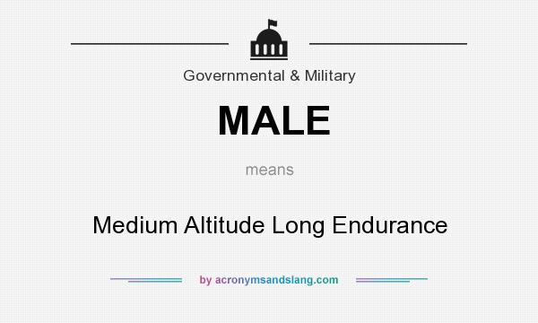 What does MALE mean? It stands for Medium Altitude Long Endurance