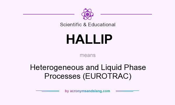 What does HALLIP mean? It stands for Heterogeneous and Liquid Phase Processes (EUROTRAC)