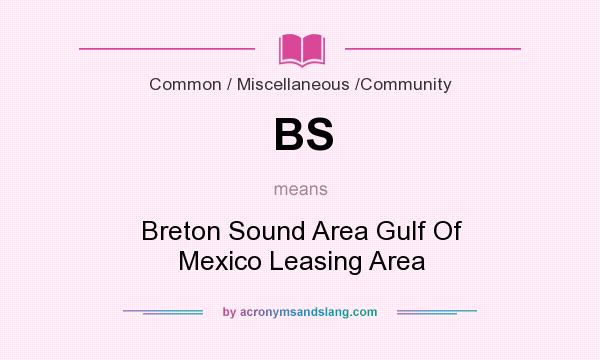 What does BS mean? It stands for Breton Sound Area Gulf Of Mexico Leasing Area