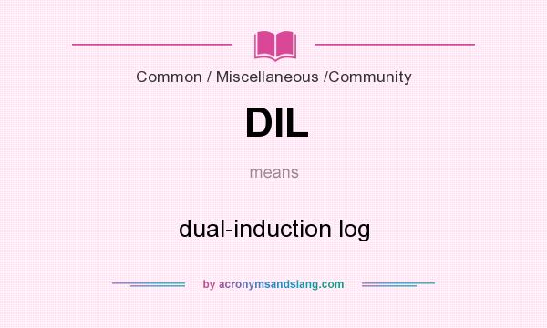 What does DIL mean? It stands for dual-induction log