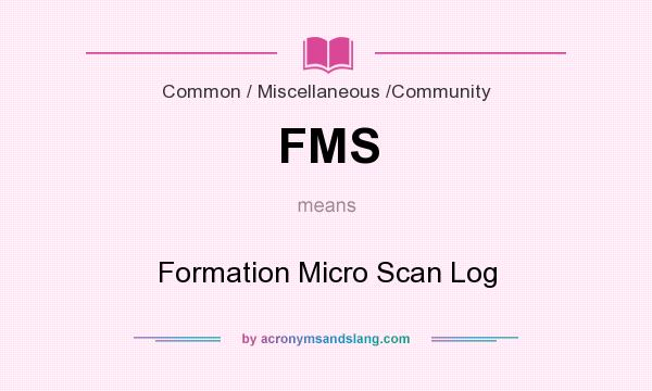 What does FMS mean? It stands for Formation Micro Scan Log
