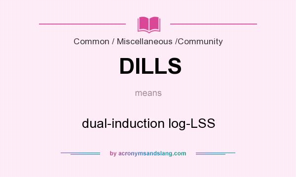 What does DILLS mean? It stands for dual-induction log-LSS