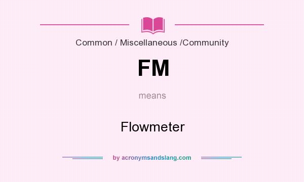 What does FM mean? It stands for Flowmeter