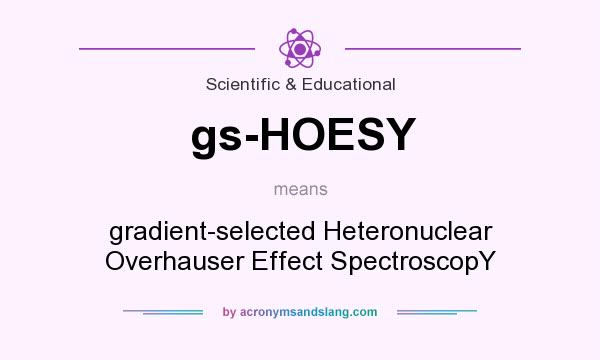 What does gs-HOESY mean? It stands for gradient-selected Heteronuclear Overhauser Effect SpectroscopY 
