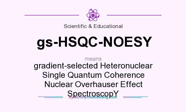 What does gs-HSQC-NOESY mean? It stands for gradient-selected Heteronuclear Single Quantum Coherence Nuclear Overhauser Effect SpectroscopY 