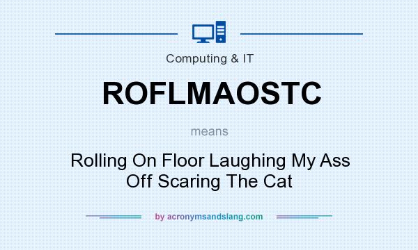 What does ROFLMAOSTC mean? It stands for Rolling On Floor Laughing My Ass Off Scaring The Cat