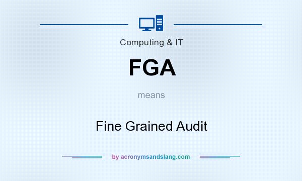 What does FGA mean? It stands for Fine Grained Audit