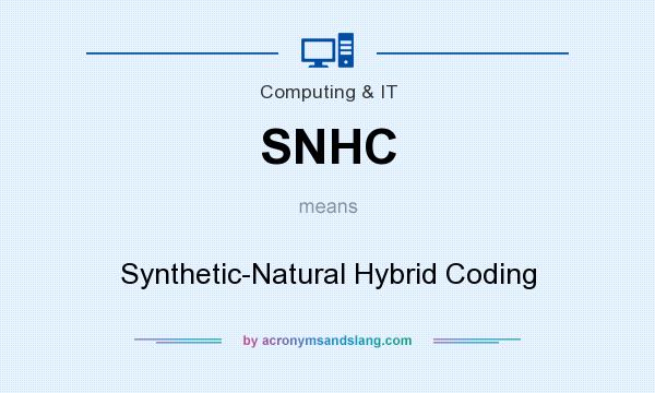 What does SNHC mean? It stands for Synthetic-Natural Hybrid Coding