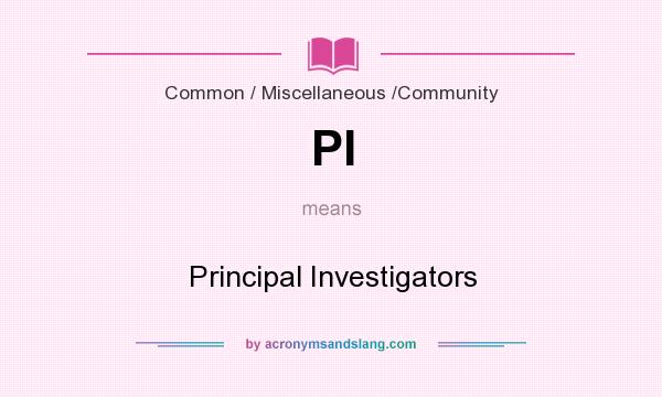 What does PI mean? It stands for Principal Investigators