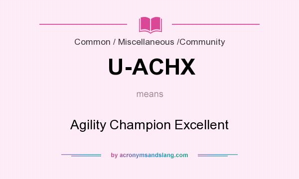 What does U-ACHX mean? It stands for Agility Champion Excellent