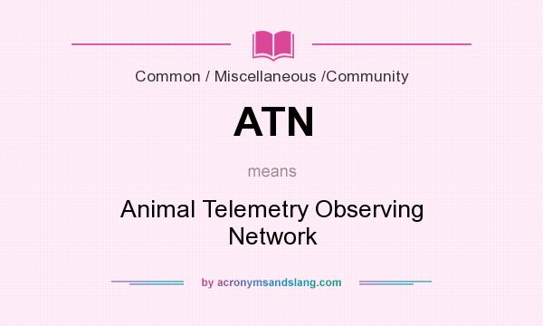 What does ATN mean? It stands for Animal Telemetry Observing Network