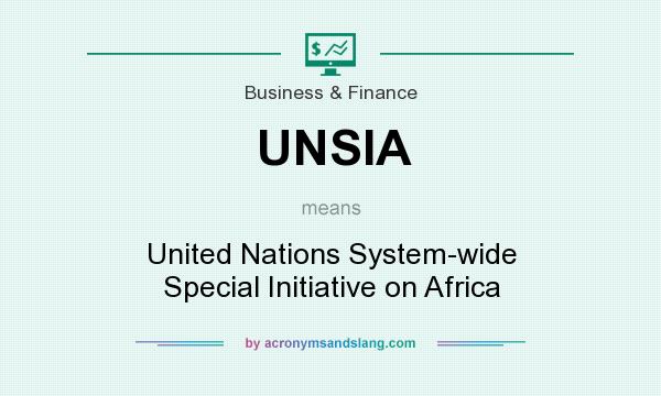 What does UNSIA mean? It stands for United Nations System-wide Special Initiative on Africa