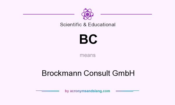 What does BC mean? It stands for Brockmann Consult GmbH