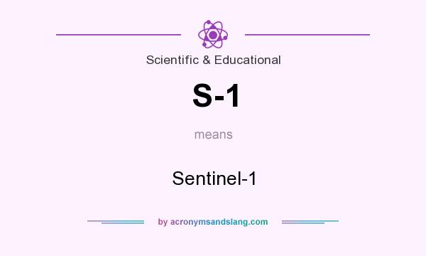 What does S-1 mean? It stands for Sentinel-1
